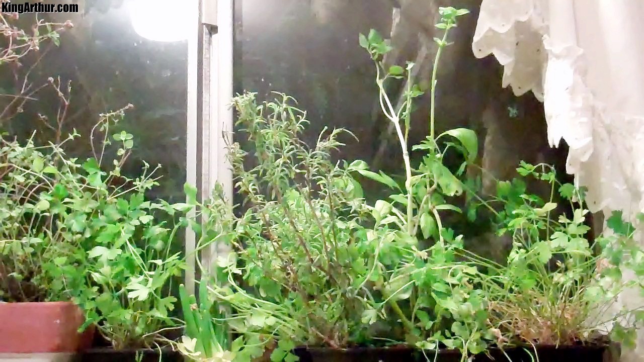 Herb Insulation Air Purifier Snack