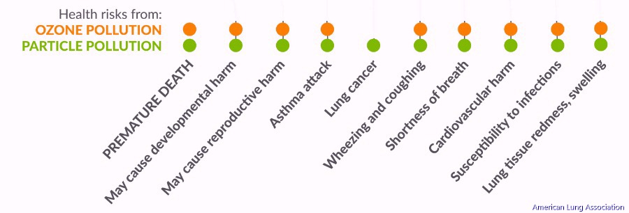 Health Risks of Air Pollution